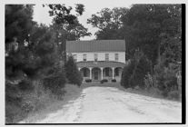 Grimes Plantation 